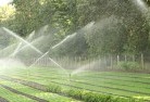 Bolonglandscaping-water-management-and-drainage-17.jpg; ?>